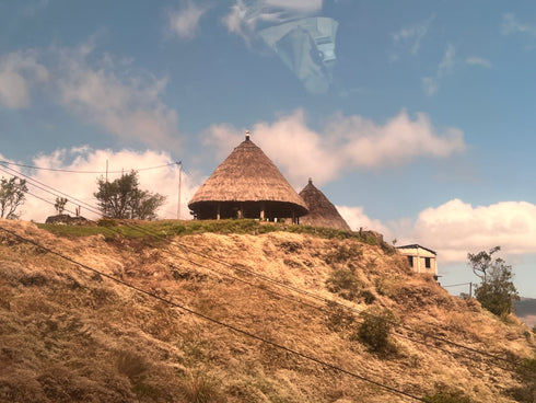 JAS Organic Timor-Leste Kocamau